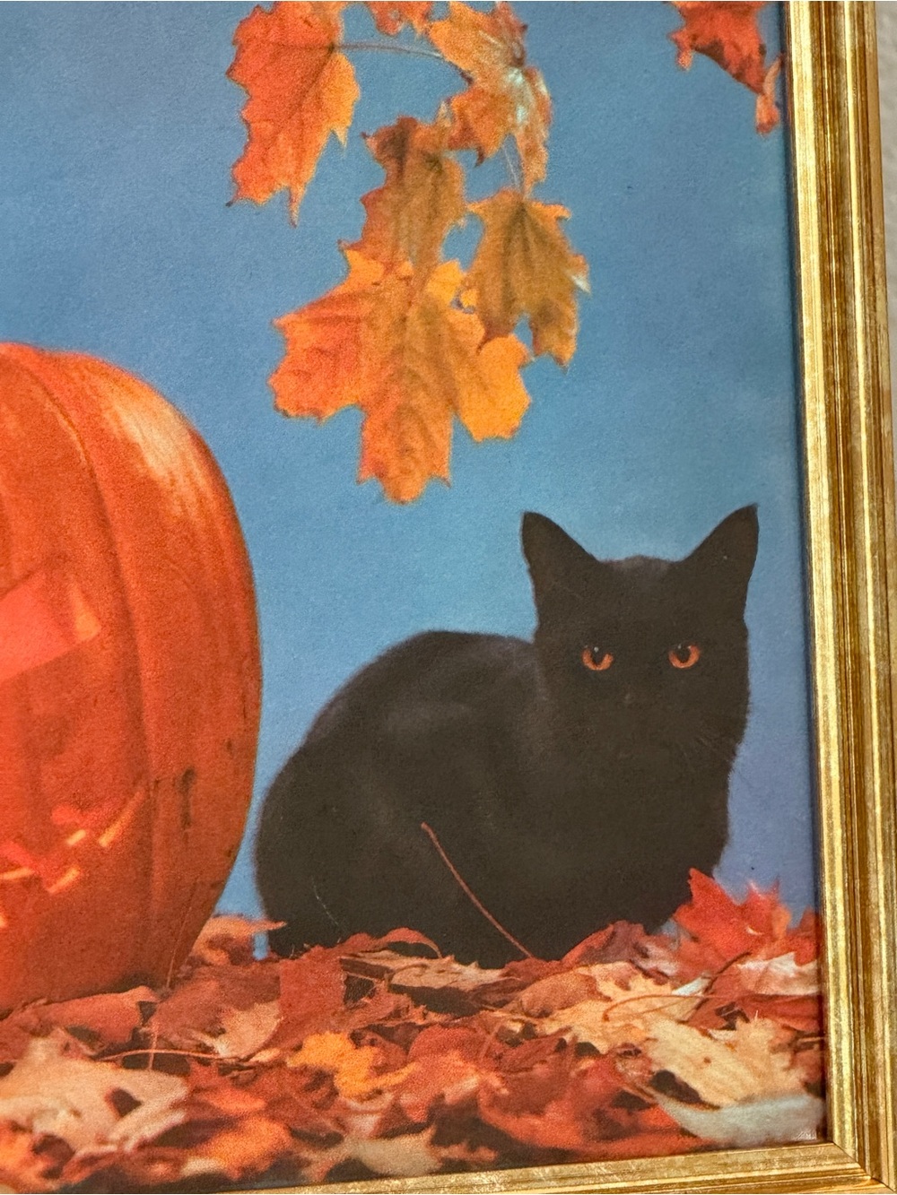 Vintage Gold Framed Autumn Pumpkin & Black Cat - Picture 7 of 11